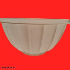 VINTAGE TUPPERWARE JELLO ICE MOLD USED